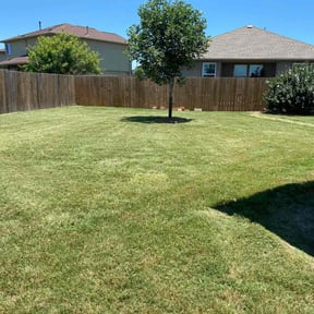 turf maintenance by Valencia Landscaping reviewed on April 22, 2024