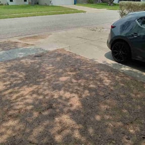 Leaf Removal by Tejanos lawn&amp;Landscape reviewed on September 29, 2025