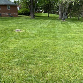 residential landscaping by Dan's Lawn & Landscaping reviewed on August 19, 2025