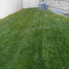 gardening service by J &amp; S Lawn reviewed on July 2, 2025