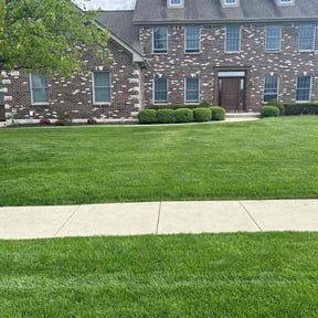 yard service by Verde Lawn and Property Management reviewed on April 15, 2025