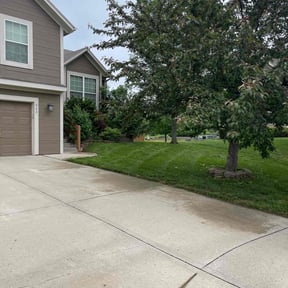 yard work by The Lawn Cypress reviewed on November 23, 2025