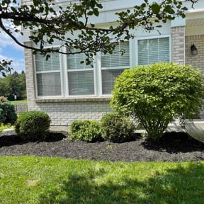 Bush Trimming by 12's Company Family lawn Services reviewed on August 15, 2025