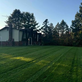 yard work by Cox and son lawn care reviewed on August 16, 2025