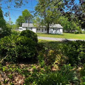 Bush Trimming by Vega &amp; Sons Landscaping reviewed on April 17, 2026