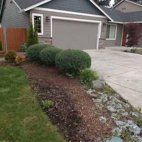Bush Trimming by Andersen landscaping & Design reviewed on August 17, 2025