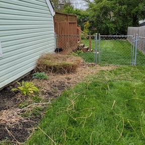 Bush Trimming by Cutting Edge Landscaping Professionals LLC reviewed on February 14, 2024