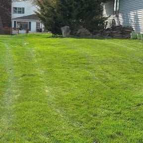 landscaping services by Dayalee lawncare reviewed on August 17, 2025