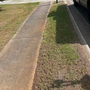 Flower Bed Weeding by SLD Affordable Lawn and Contracting Services reviewed on June 29, 2026