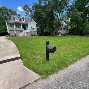 yard care by Elite reviewed on August 17, 2025