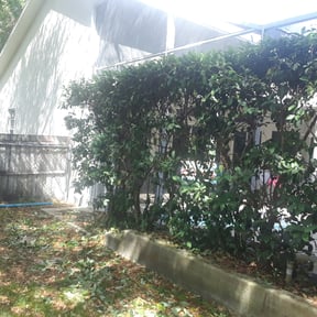Bush Trimming by JR lawncare reviewed on August 19, 2025