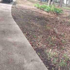 Leaf Removal by Rocky Top Lawn reviewed on September 29, 2025