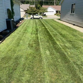 yard work by Green Thumb Lawn Services reviewed on August 16, 2025