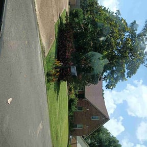 turf maintenance by Go Green Electric Lawncare reviewed on April 30, 2024