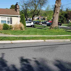 turf care by Lawn services JAV reviewed on April 12, 2024