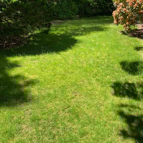 yard maintenance by Rayford's Landscaping &amp; lawn care reviewed on October 14, 2023