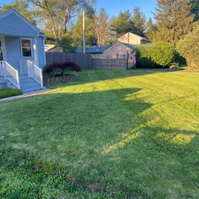 gardening service by Murphy's Lawn Service reviewed on February 18, 2026