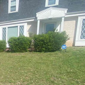Bush Trimming by Honore Handyman and Plumbing Services reviewed on August 20, 2025