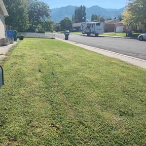 lawn care by Gonzalez Landscaping reviewed on April 22, 2024