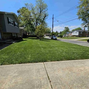 residential landscaping by Greg&#039;s gardens reviewed on November 19, 2025