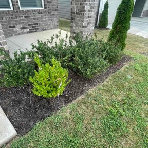 Flower Bed Weeding by Lone Star Landscaping Group 2919 reviewed on August 22, 2026