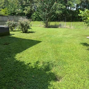 gardening service by Jacob Morgan Lawn Care reviewed on August 17, 2025