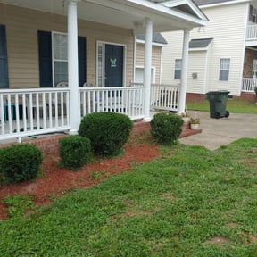 Bush Trimming by Lawn Care Solutions reviewed on August 15, 2025