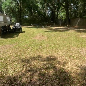 Leaf Removal by Ozzie Mow Co reviewed on August 3, 2026