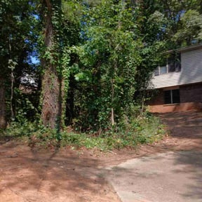 Bush Trimming by Clean Blade A&R Landscaping reviewed on August 21, 2025
