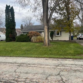 Leaf Removal by Alcayde.lawn care reviewed on November 23, 2025