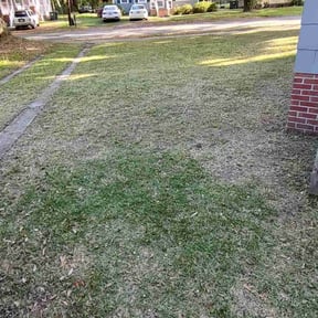 Leaf Removal by Pure Lawn Care reviewed on September 17, 2025