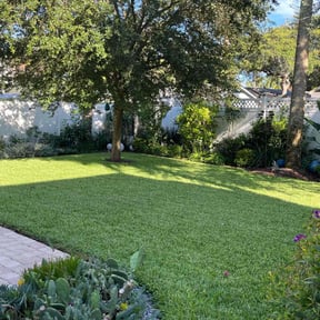yard care by Jernie Lawn Care reviewed on August 17, 2025