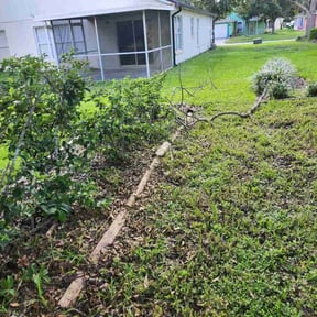 Bush Trimming by ShiftChange LLC Lawn Service reviewed on August 16, 2025