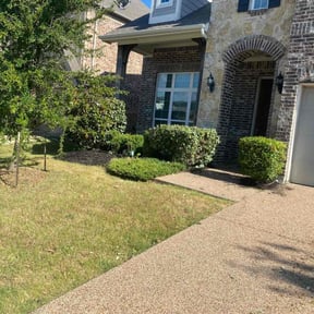 Bush Trimming by KD lawn service reviewed on August 16, 2025