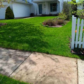 landscaping services by Djalt Lawn Maintenance, LLC reviewed on August 15, 2025