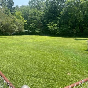 yard maintenance by GAMA Lawn Care Services reviewed on May 1, 2025