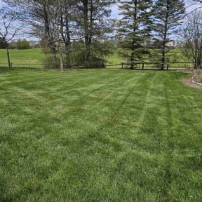 lawn service by Tri Stars landscaping and Snow Services LLC reviewed on August 13, 2025