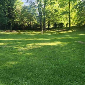 lawn service by Justin Moore reviewed on August 15, 2025