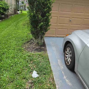 Flower Bed Weeding by D1B PRODUCTIONS LLC reviewed on July 22, 2026