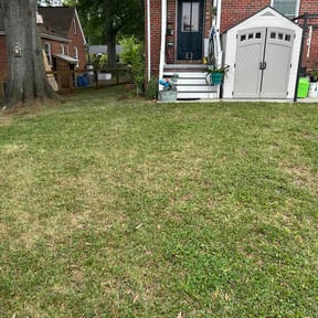 Leaf Removal by Stevie's Lawn Care reviewed on April 28, 2026