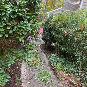 Bush Trimming by Custom Remodeling and Restoration reviewed on November 19, 2025