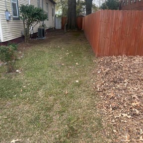 Leaf Removal by Kyleco reviewed on November 22, 2025