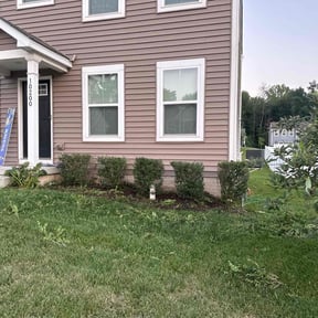 Bush Trimming by Mila Boza reviewed on November 9, 2025