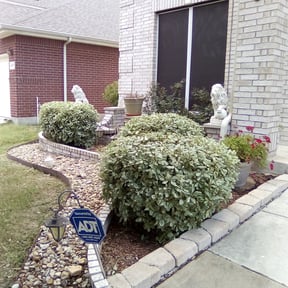 Bush Trimming by Spartan Exterior Services reviewed on August 15, 2025