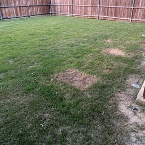 Bush Trimming by Quion's Multi Services reviewed on August 21, 2025