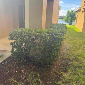 Bush Trimming by bullion  landscape reviewed on November 22, 2025