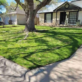 grass cutting by The Green Guys reviewed on August 20, 2025