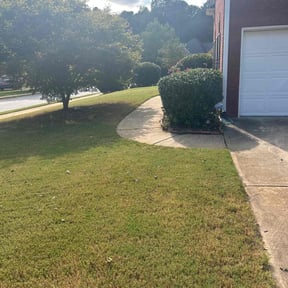 Bush Trimming by Snoho Mowers  reviewed on November 23, 2025