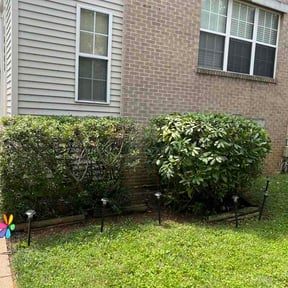 Bush Trimming by AJs Mow-Motion Lawncare LLC reviewed on June 30, 2026