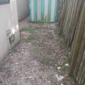 Leaf Removal by C&amp;J Lawn Care and Pressure Washing reviewed on September 17, 2025